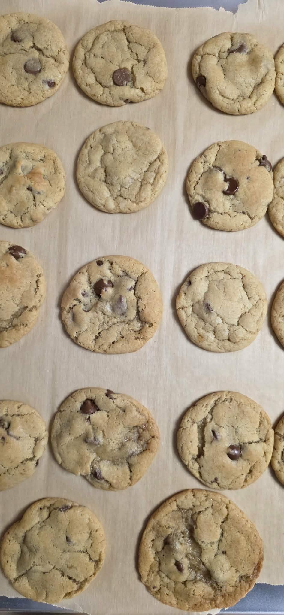Gooey Sourdough Chocolate Chip Cookies
