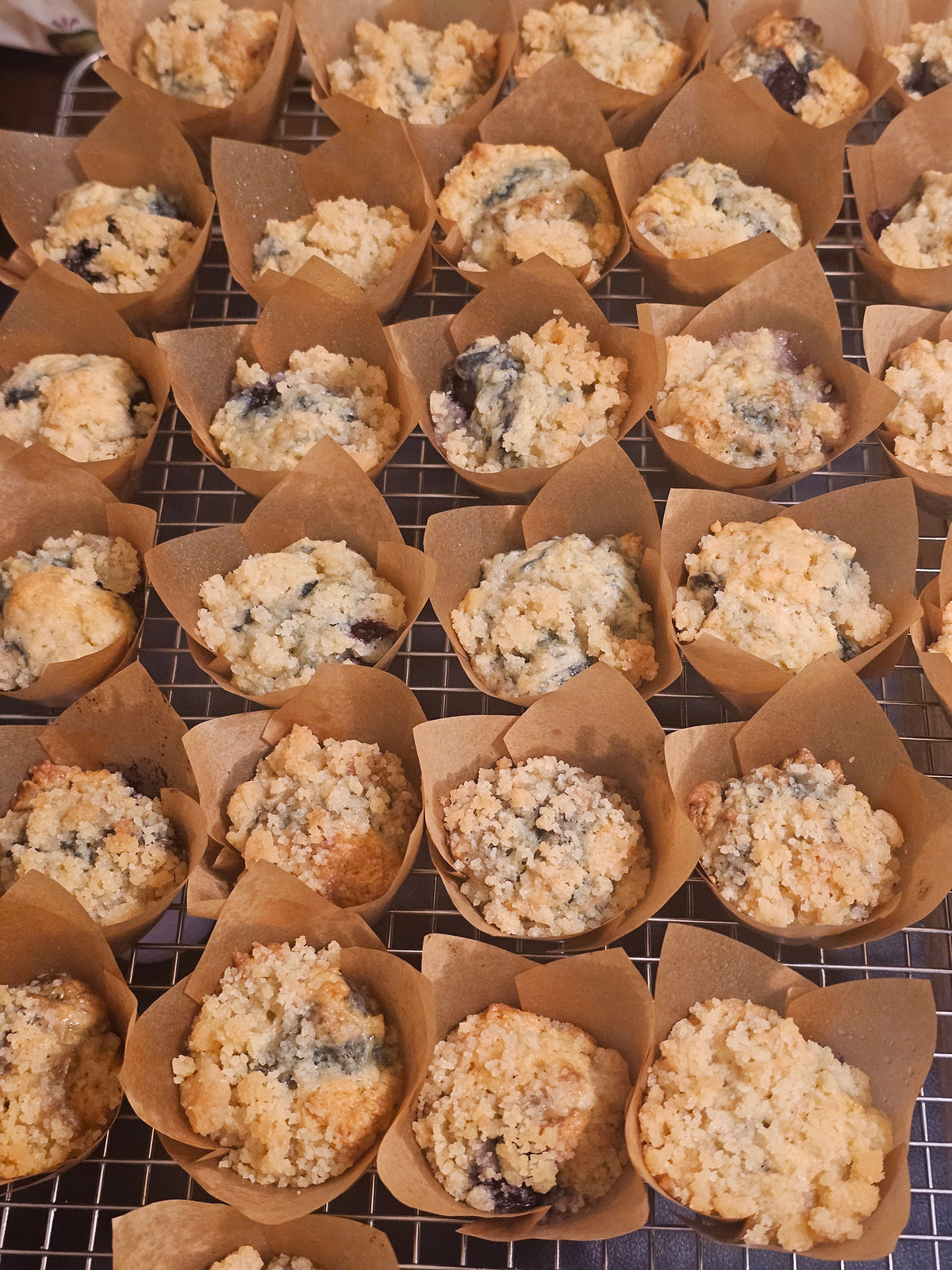 Blueberry Muffins