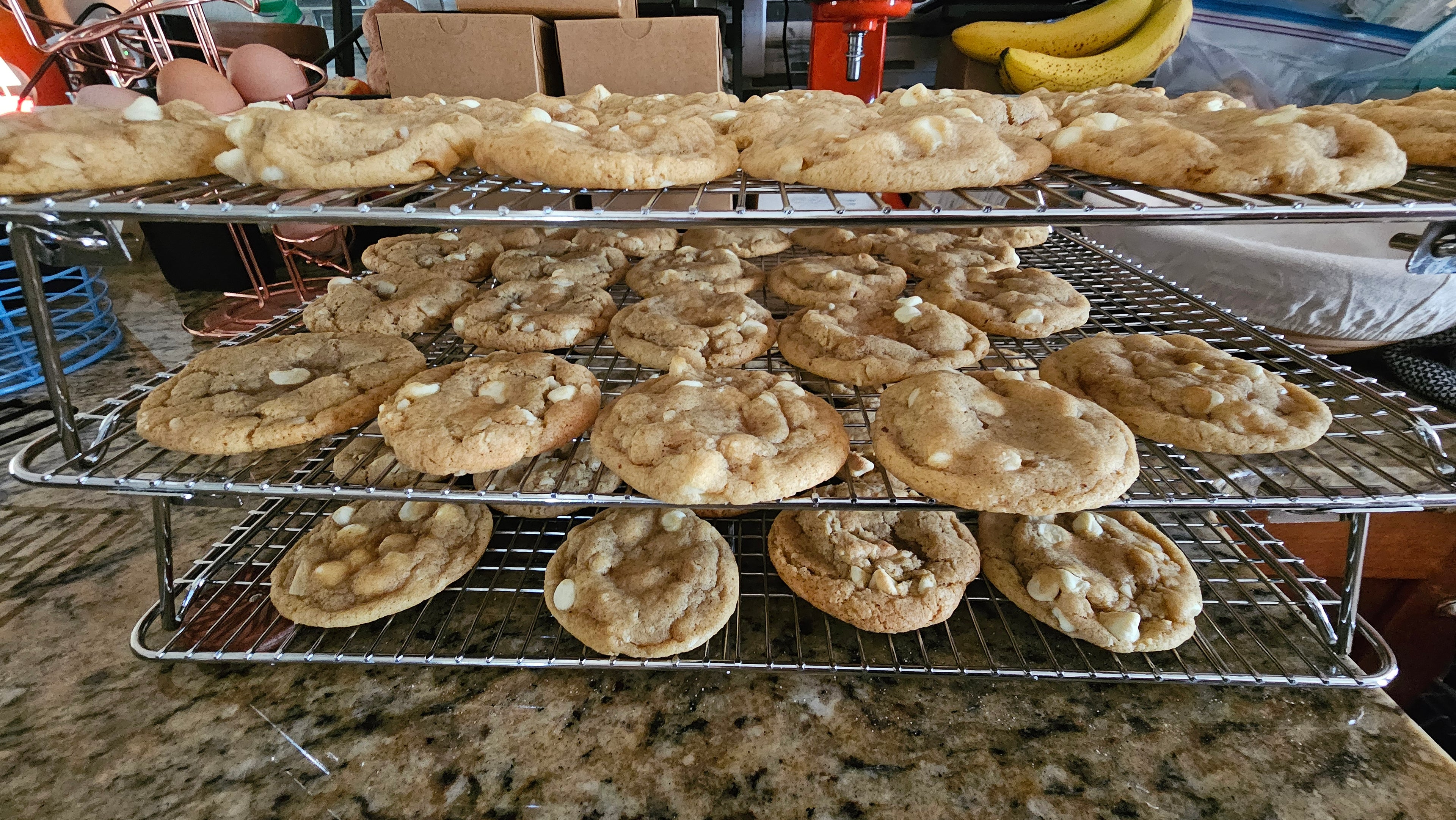 Sourdough White Chocolate Macadamia Nut Cookies