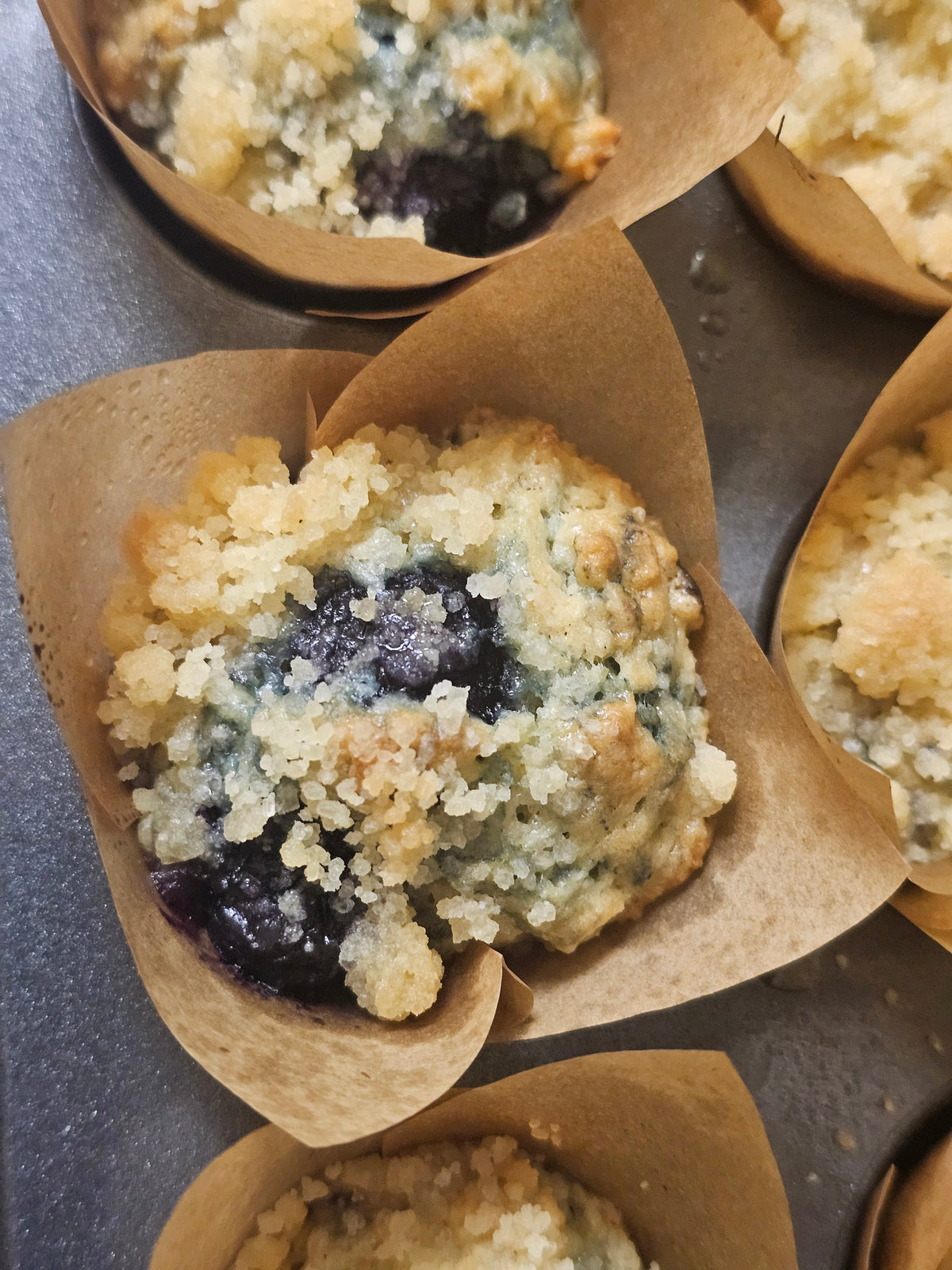Blueberry Muffins