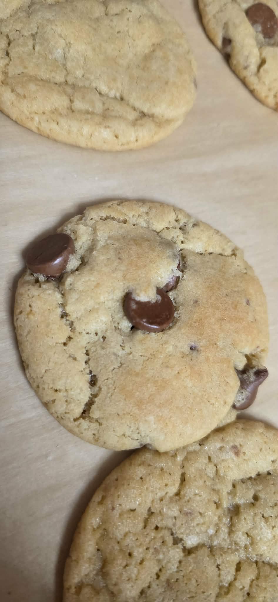 Gooey Sourdough Chocolate Chip Cookies