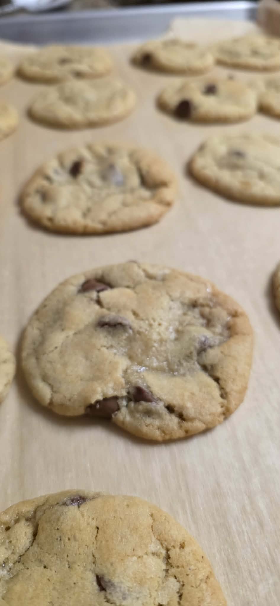 Gooey Sourdough Chocolate Chip Cookies