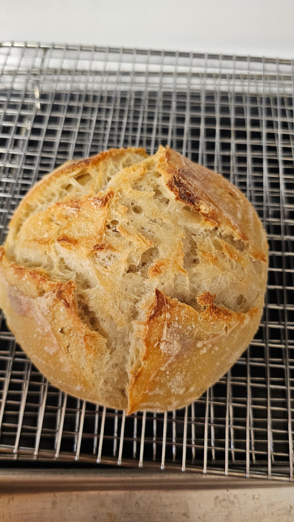 Traditional Sourdough