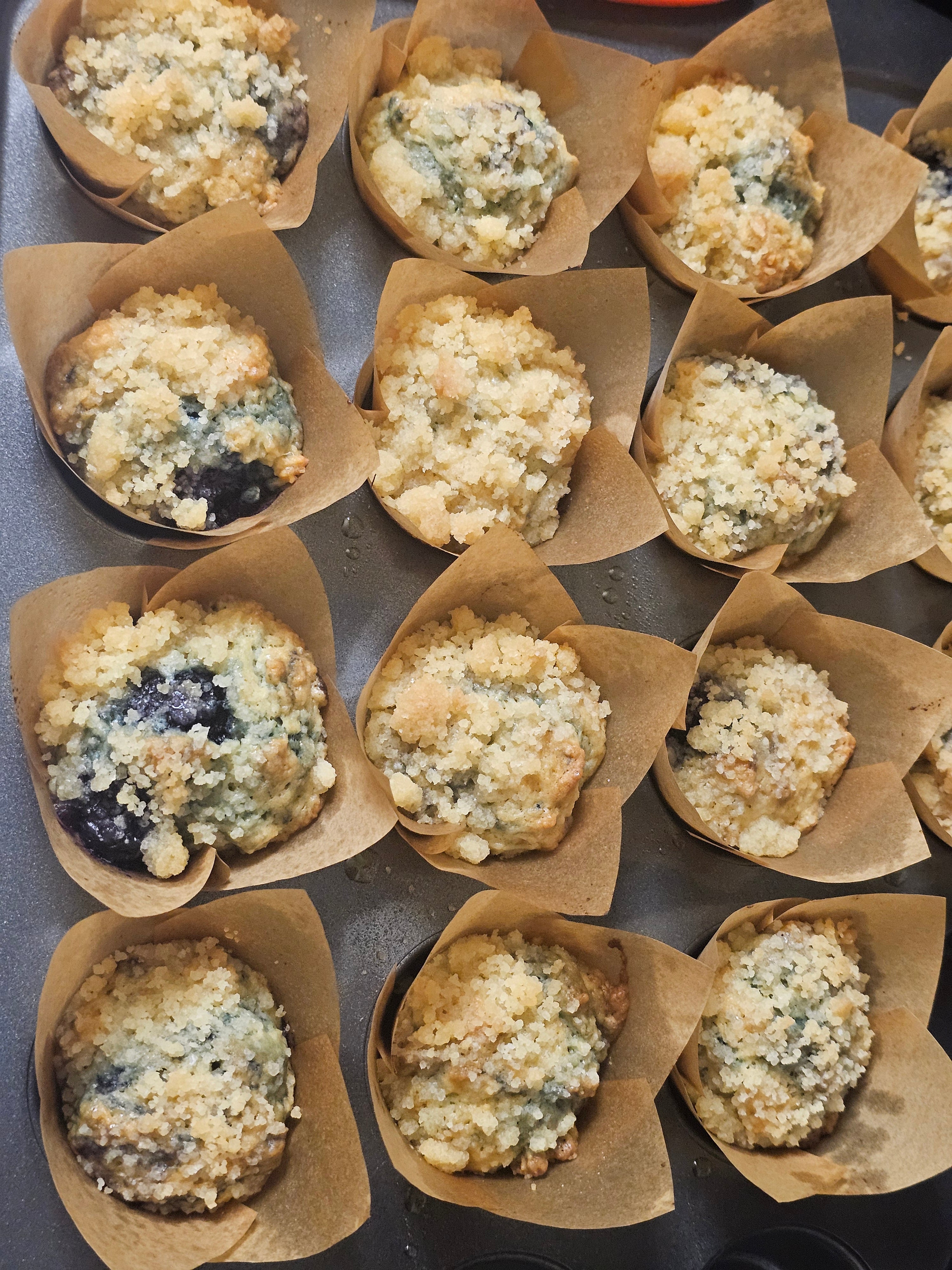 Blueberry Muffins