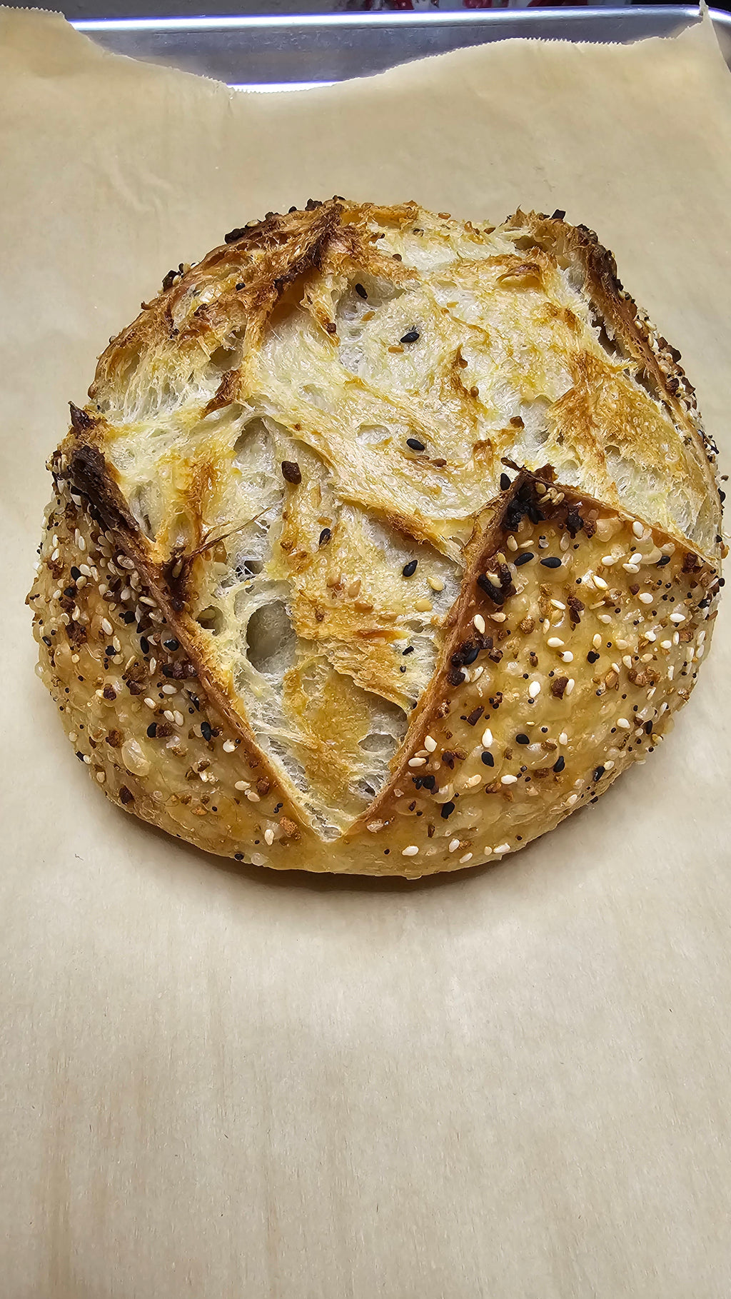 Sourdough Bagel Bread