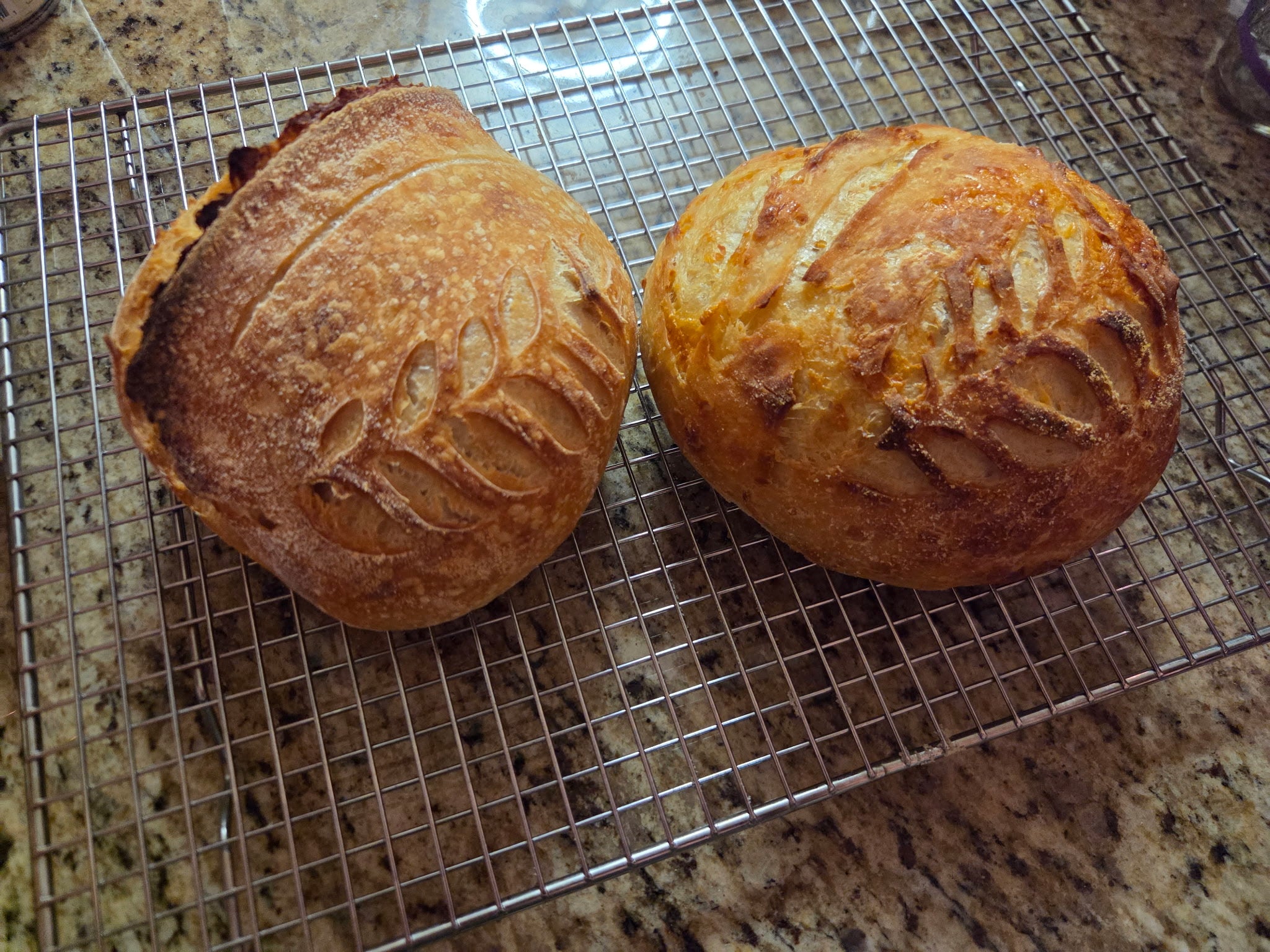 Cheddar and Parmesan Sourdough