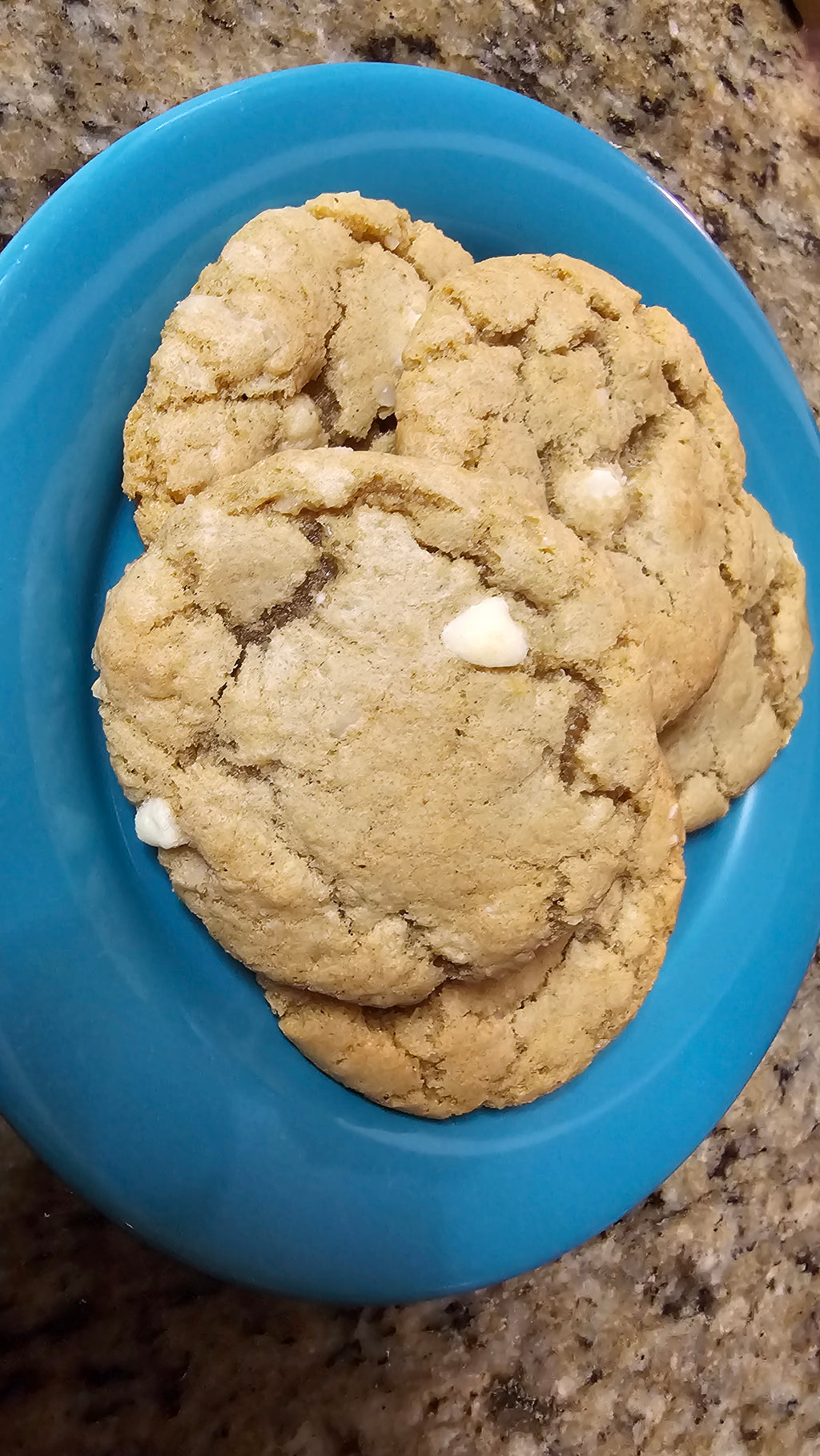 Sourdough White Chocolate Macadamia Nut Cookies