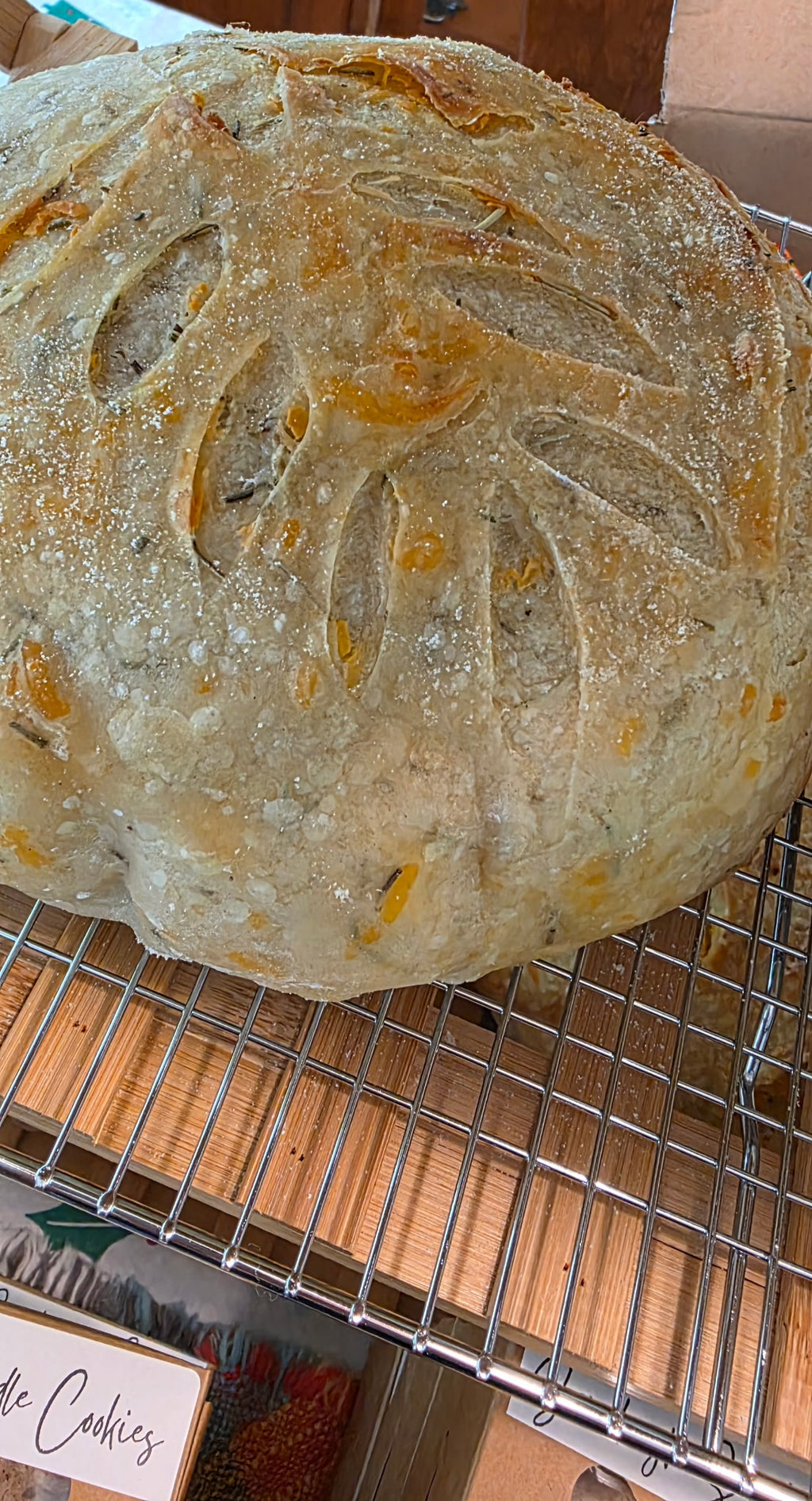 Rosemary, Cheddar, Parmesan Sourdough