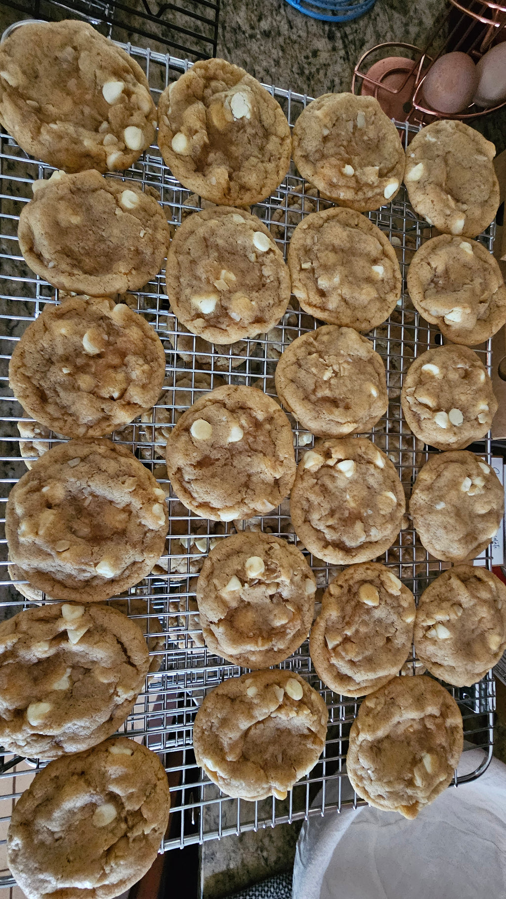 Sourdough White Chocolate Macadamia Nut Cookies