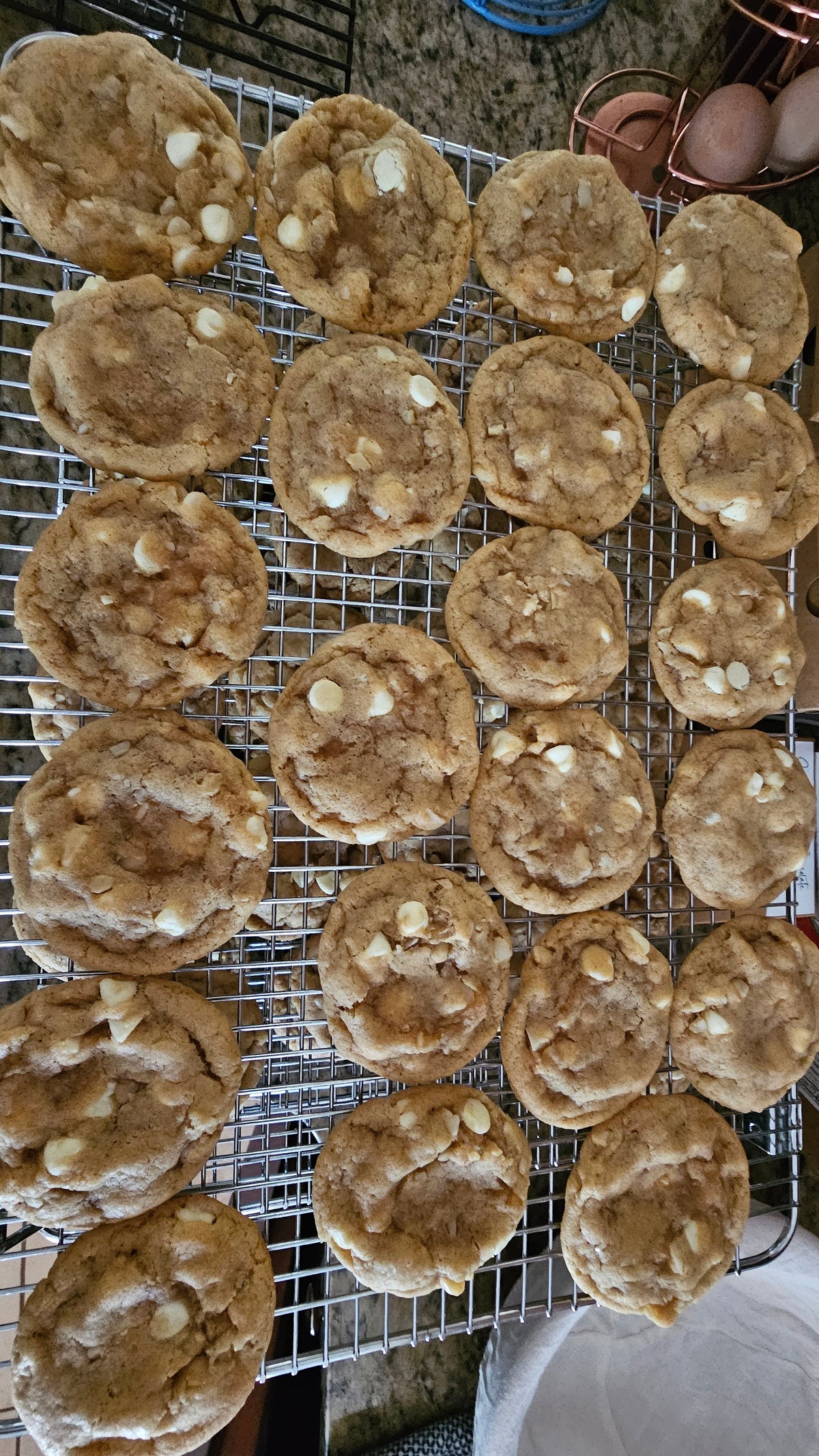 Sourdough White Chocolate Macadamia Nut Cookies