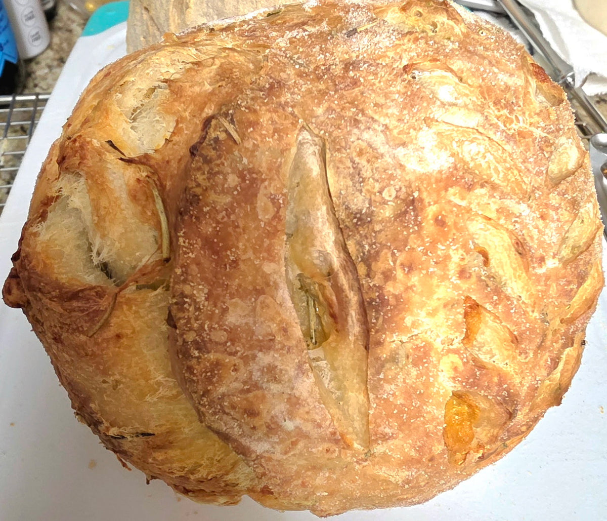 Rosemary, Cheddar, Parmesan Sourdough