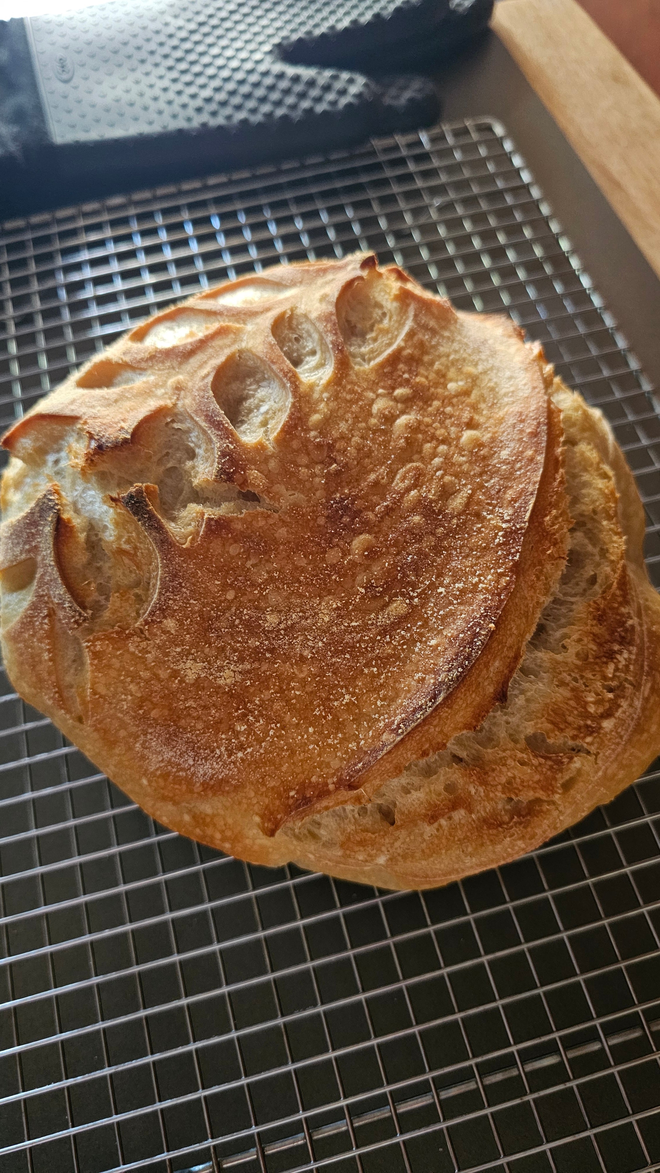 Traditional Sourdough